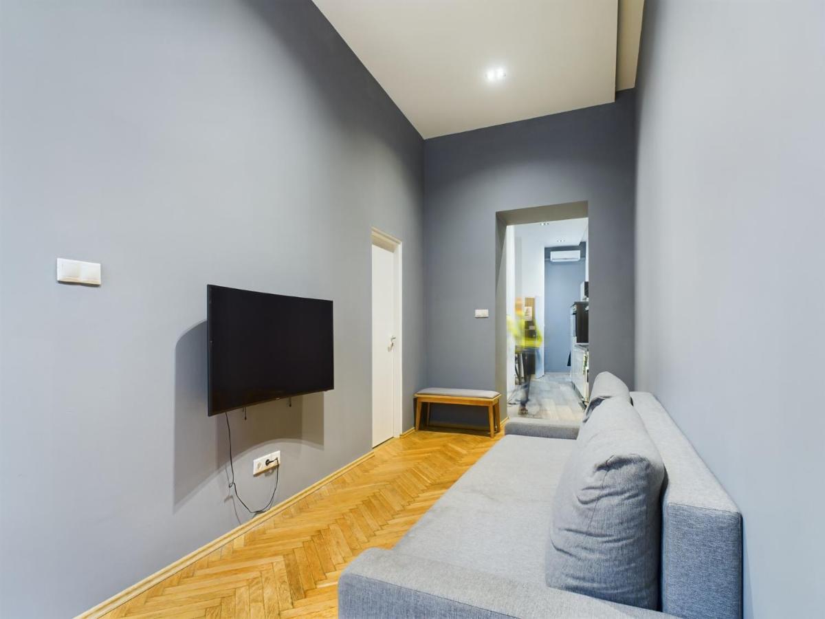 Gray Stylish Central Apartment Budapest Luaran gambar