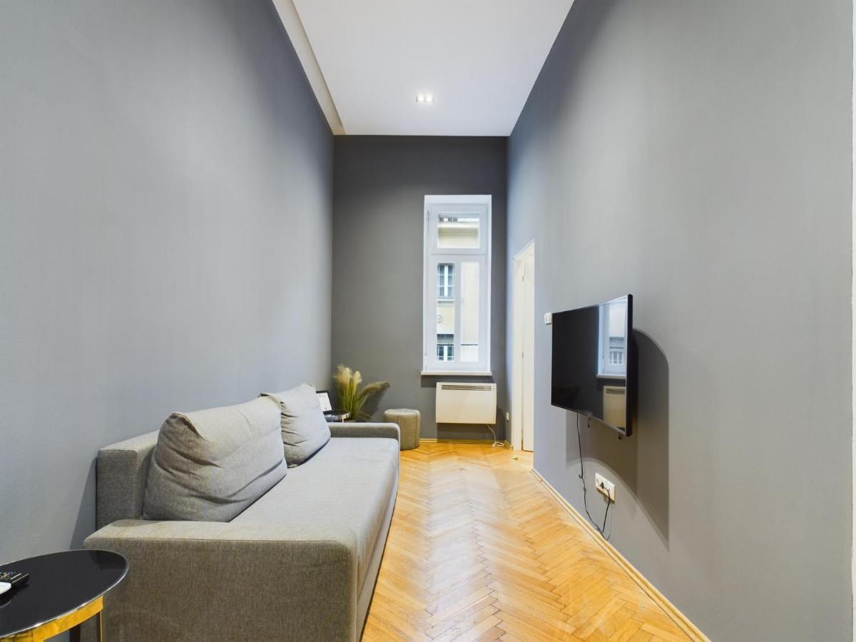Gray Stylish Central Apartment Budapest Luaran gambar